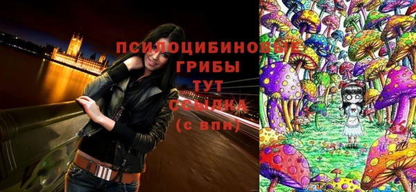 прущая мука Абаза
