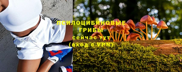 прущая мука Абаза
