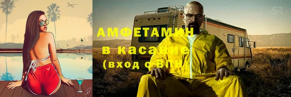 сатива Алзамай