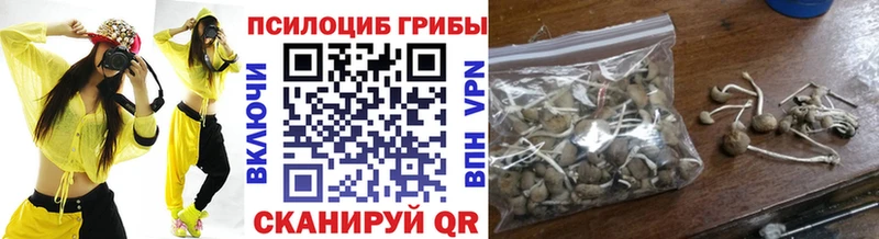 Галлюциногенные грибы Psilocybine cubensis  Чишмы 